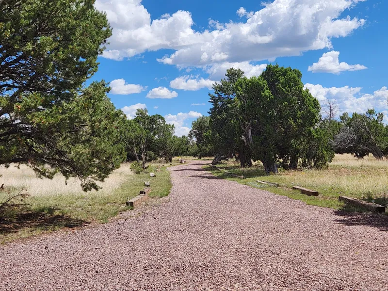 Apache Pass Quemado NM West Properties
